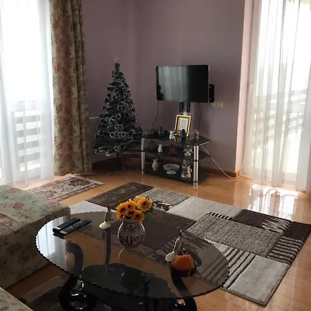 Apartment Panoramic Transilvania Bran (Brasov)