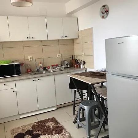 Panoramic Transilvania Apartment