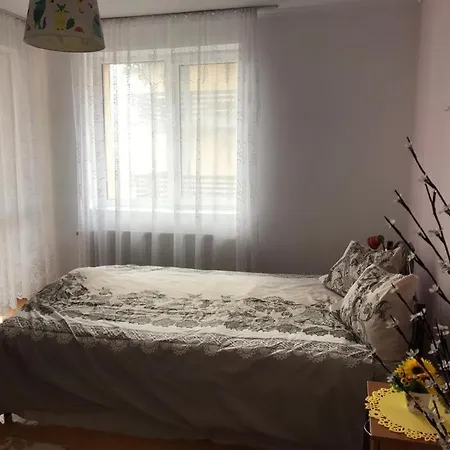 Apartment Panoramic Transilvania Bran (Brasov)
